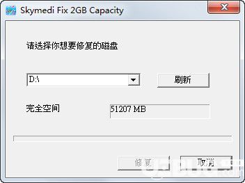 Skymedi Fix 2GB Capacity