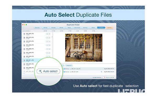 Duplicate File Finder Pro下載