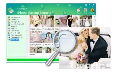 Coolmuster iPhone Backup Extractor v2.1.53官方版【4】