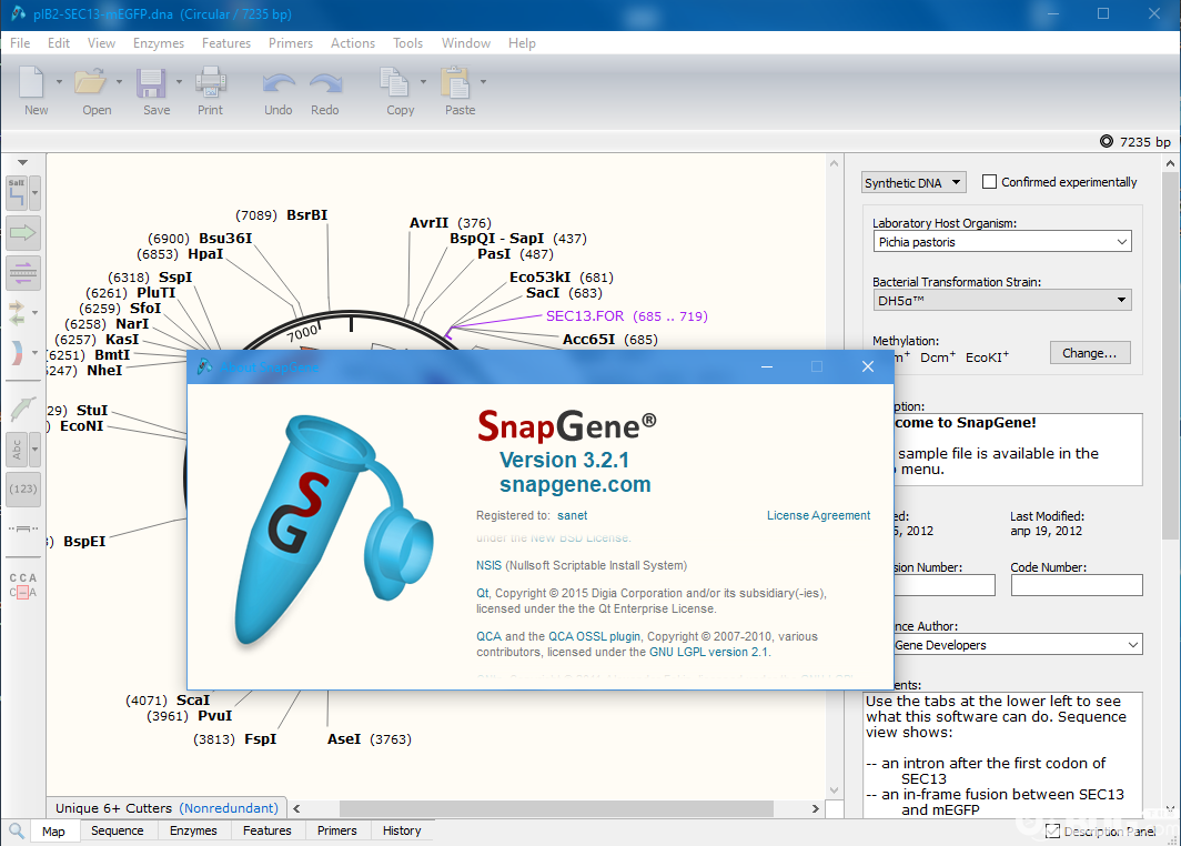 SnapGene破解版下載