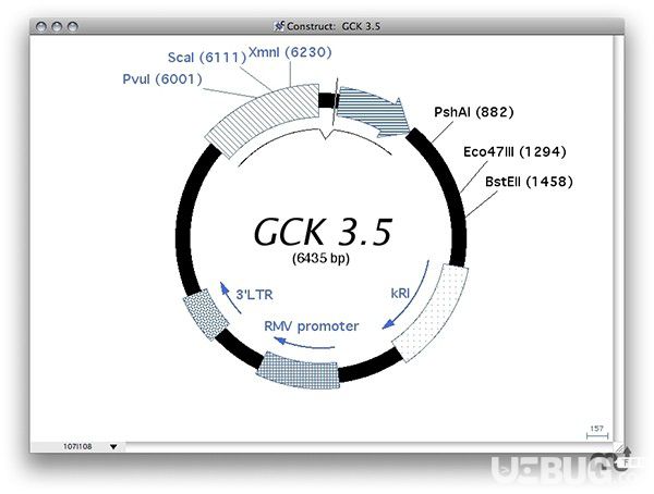 Gene Construction Kit Mac版