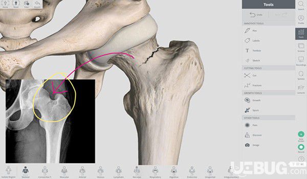 Complete Anatomy Mac版