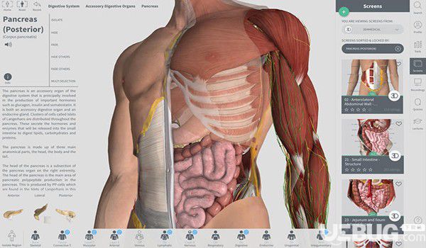 Complete Anatomy for Mac