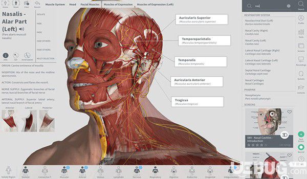 Complete Anatomy Mac版