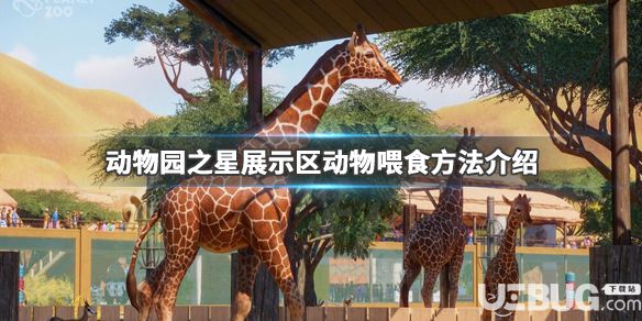 《動物園之星》游戲中展示區(qū)動物怎么喂食