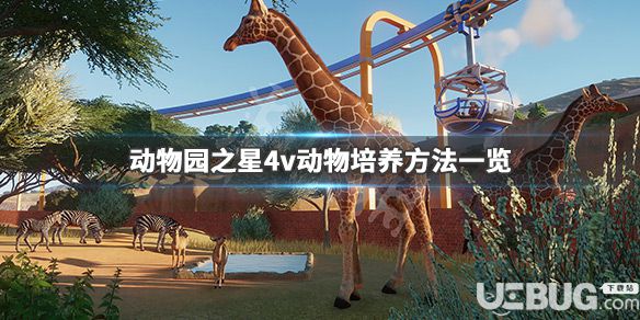 《動物園之星》游戲中4V動物怎么培養(yǎng)的