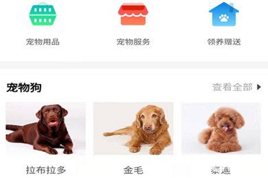 怎么在58同城APP上發(fā)布寵物轉(zhuǎn)讓信息