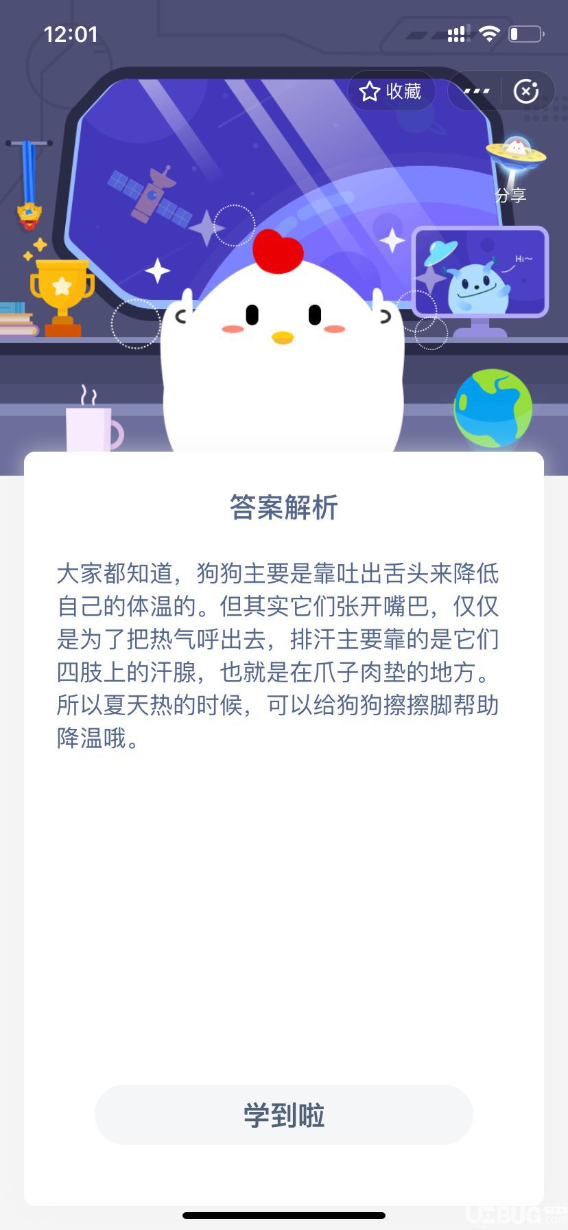 支付寶螞蟻莊園小雞寶寶考考你，狗狗爪子的肉墊，除了行走時(shí)有防滑的作用外，還能用來？