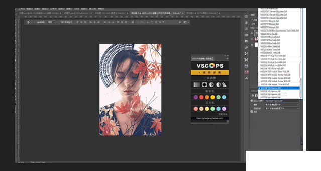 VSCO擴展面板PS插件v1.0免費版【2】