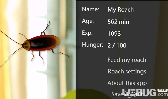 Virtual Cockroach(桌面蟑螂寵物)v1.9免費版【2】