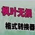 楓葉無(wú)損音頻格式轉(zhuǎn)換器v1.0.0.0免費(fèi)版