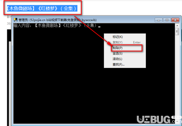 B站視頻下載器v1.0綠色版【2】