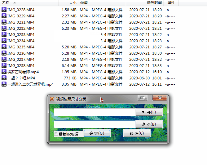 視頻按照尺寸分類小工具v1.0免費版【2】