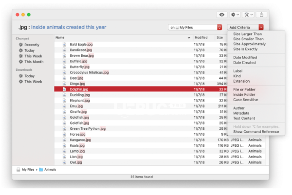 ProFind(文件搜索工具)v1.8.3 MacOS版【2】