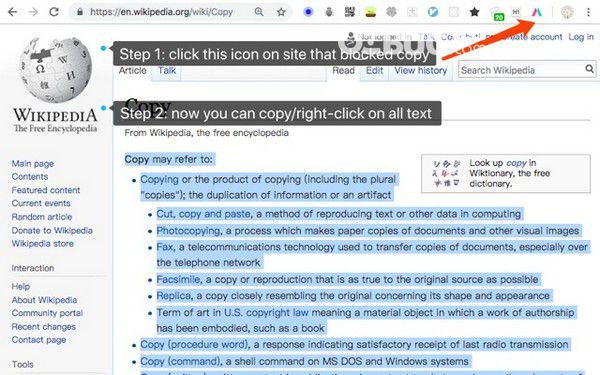 Simple Allow Copy(Chrome網(wǎng)頁復(fù)制插件)v0.8.2綠色版【2】