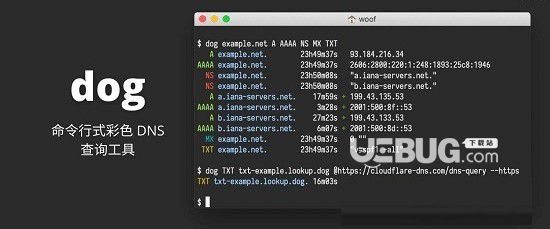 dog(命令行式彩色DNS查詢工具)