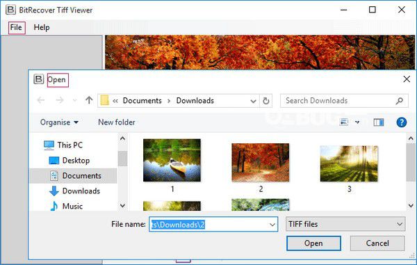 BitRecover Tiff Viewer(TIFF文件查看器)v2.2免費(fèi)版【1】