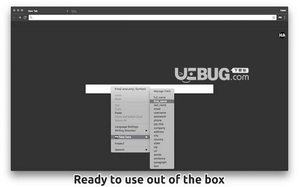 Fake Data Chrome插件