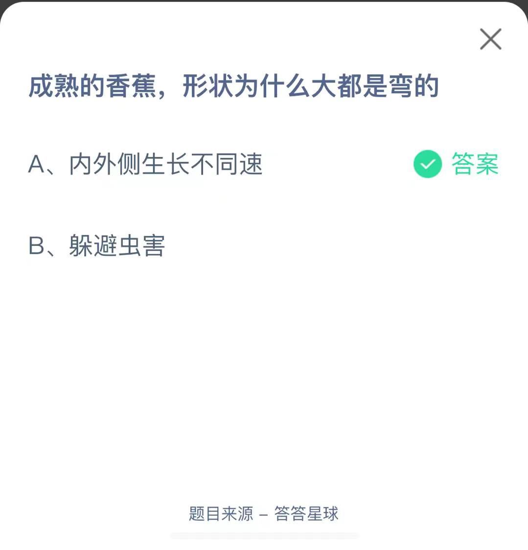 支付寶螞蟻莊園小課堂成熟的香蕉，形狀為什么大都是彎的