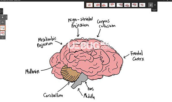 Mental Canvas(3D繪畫軟件)v1.0.19461免費版【2】