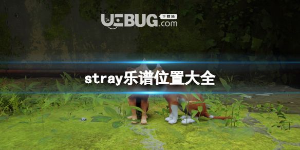 《迷失》stray樂(lè)譜有什么用？樂(lè)譜位置全集