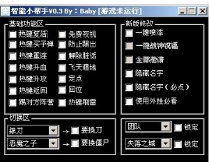 CSO baby智能小幫手0113版_一鍵噴漆_隱藏名字_飛天遁地