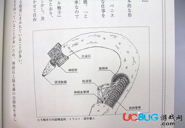 五一勞動節(jié)要到了,各種福利、歡樂、內涵爆笑圖集錦分享【3】