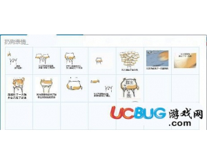 扔狗動態(tài)表情包12P下載