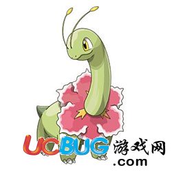 口袋妖怪VS大菊花