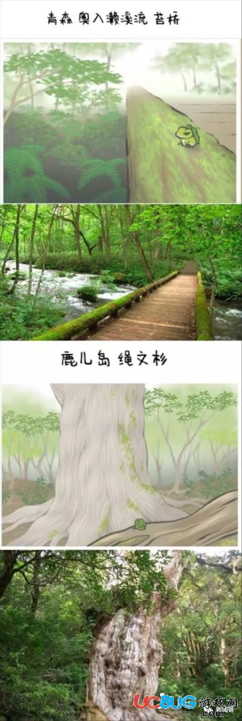 《旅行青蛙手游》入門(mén)進(jìn)階到彩蛋篇攻略 養(yǎng)娃不如養(yǎng)蛙