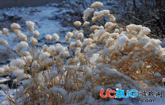 描寫(xiě)跟雪有關(guān)的詩(shī)句都有哪些