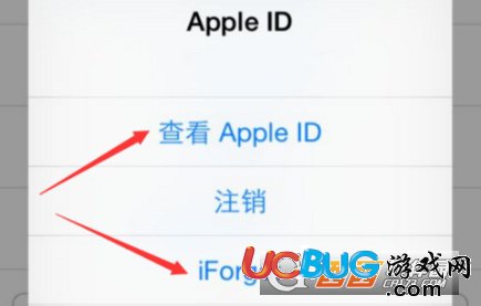 《iphone手機》ID賬號被盜怎么解決