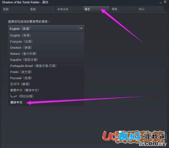 《古墓麗影暗影》游戲怎么設置中文