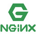 Nginx從入門到實踐視頻教程下載