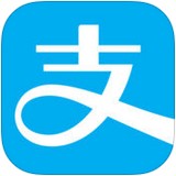 支付寶谷歌版v10.2.33 安卓版